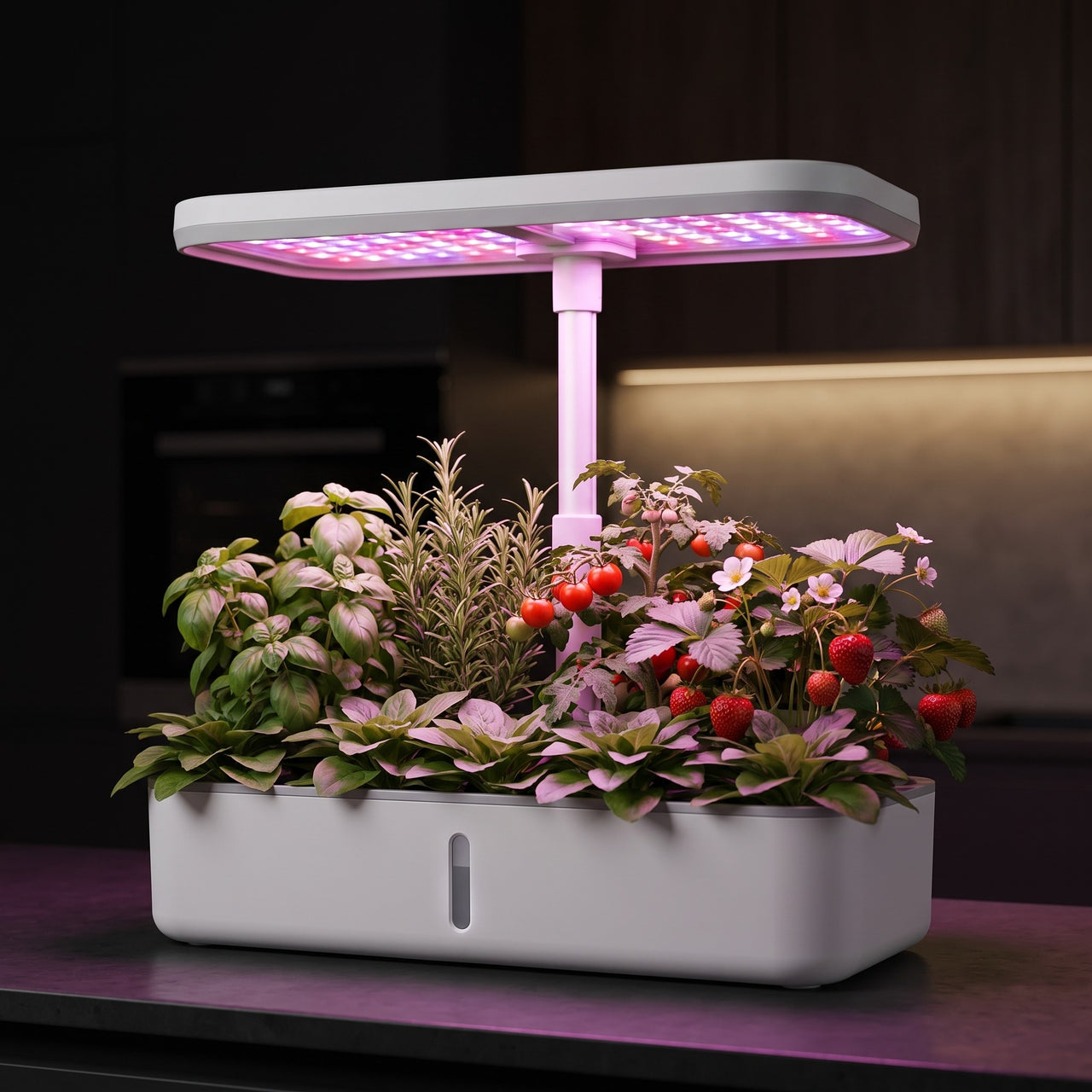 Verdia One - lumière de culture en cuisine